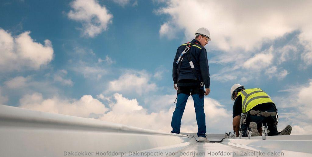 Dakinspectie Voor Bedrijven Hoofddorp