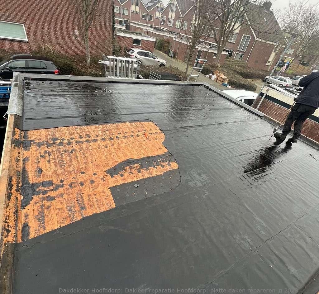 Dakleer Reparatie Hoofddorp