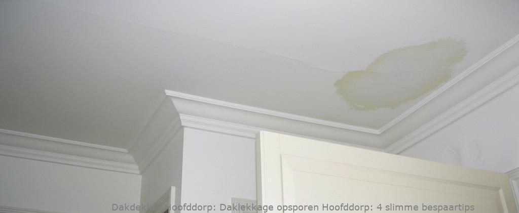 Daklekkage Opsporen Hoofddorp 1