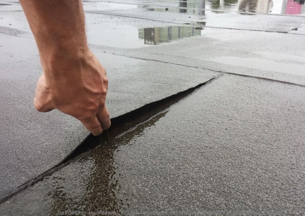 Kosten Repareren Daklekkage Hoofddorp