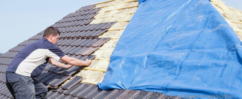 Kosten Van Een Dakreparatie Hoofddorp