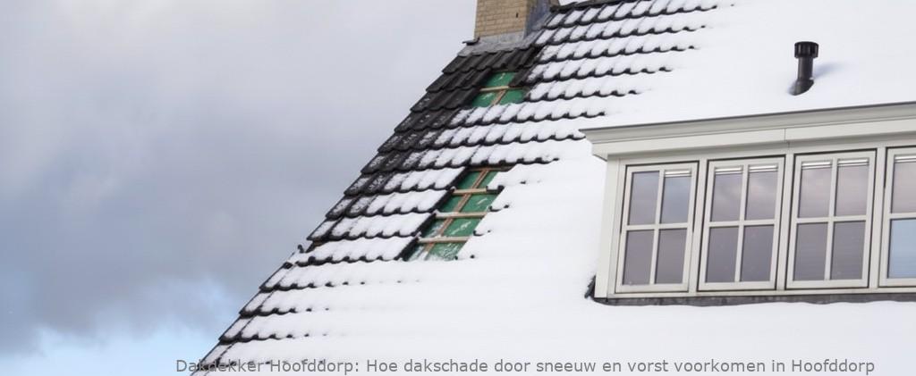Schade Door Sneeuw En Vorst Hoofddorp